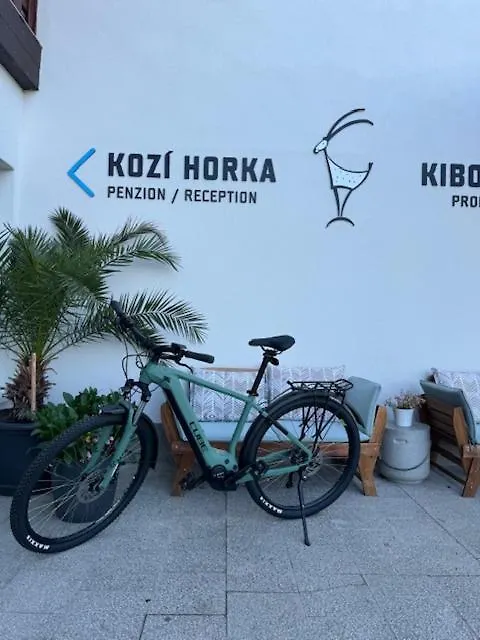 Penzion Kozi Horka U Brnenske Prehrady برنو